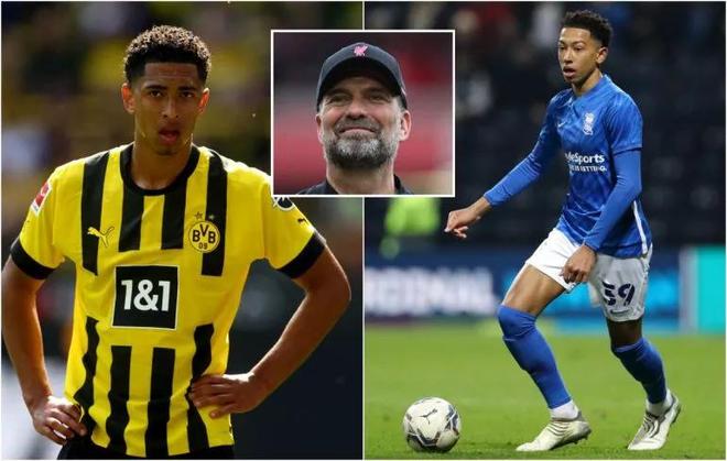 奥运摘牌全运领跑 山东“十四五”体育事业多点开花